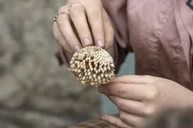 Brian Cregan Photgraphy 3389