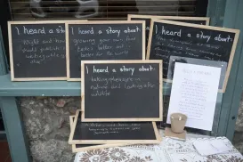 Brian Cregan Photgraphy 8840